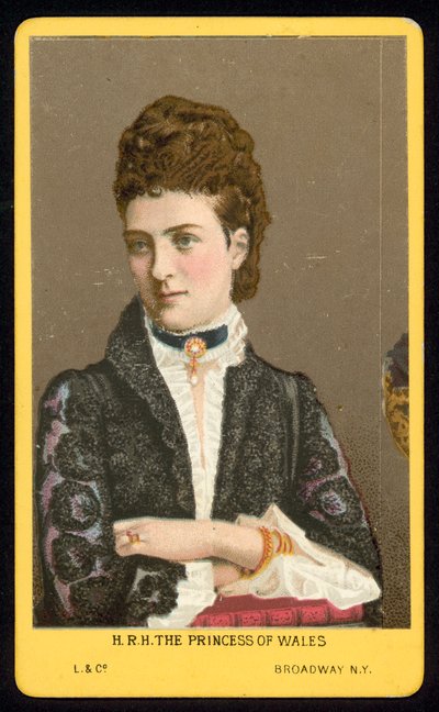 La Principessa del Galles da American School